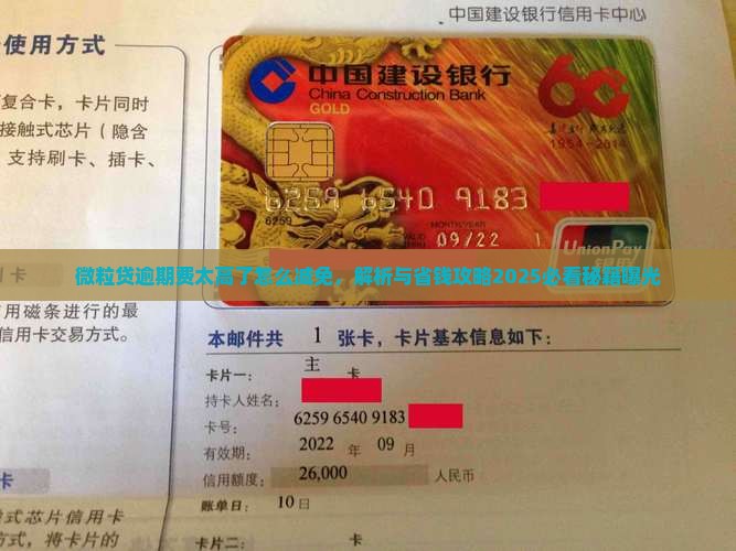 微粒贷逾期费太高了怎么减免