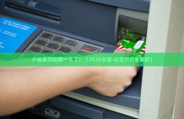 小鲨易贷逾期一天了