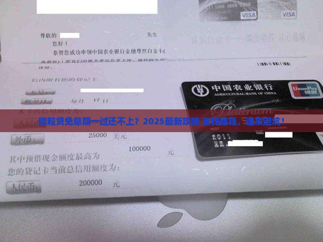 微粒贷免息一个月后还不上怎么办 微粒贷免息一个月后还不上怎么办