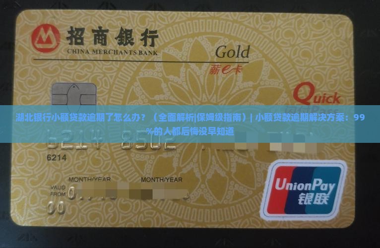 湖北银行小额贷款逾期了怎么处理