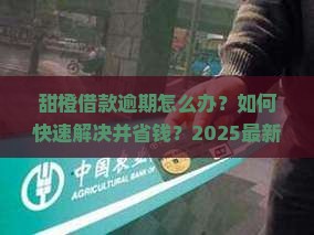 甜橙借款逾期处理方法
