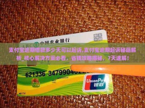 支付宝逾期借款多少天可以起诉