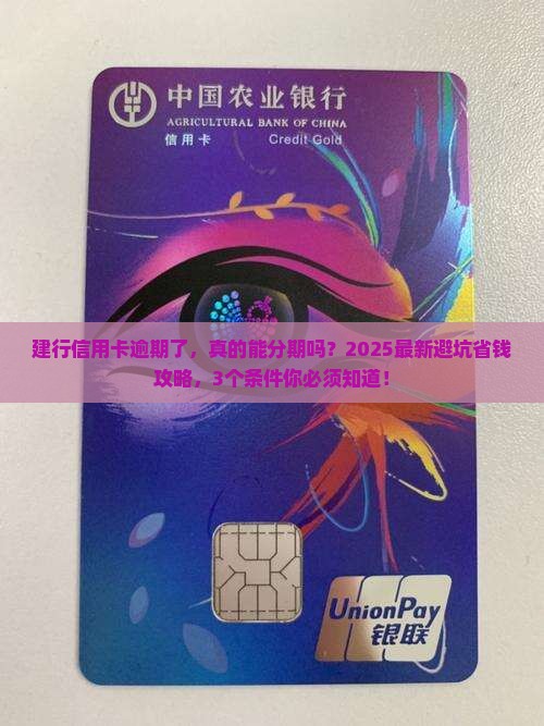 建设银行信用卡逾期可以分期吗需要哪些条件
