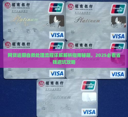 网贷逾期自救处理流程详解