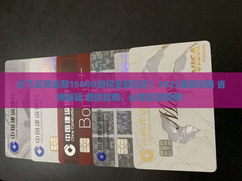 达飞云贷逾期15000如何归还