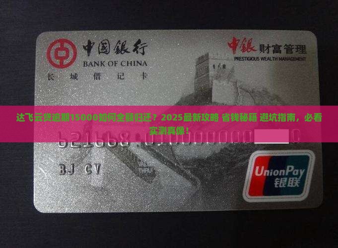 达飞云贷逾期15000如何归还
