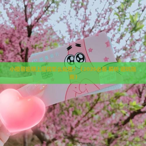 小橙易逾期上征信怎么处理