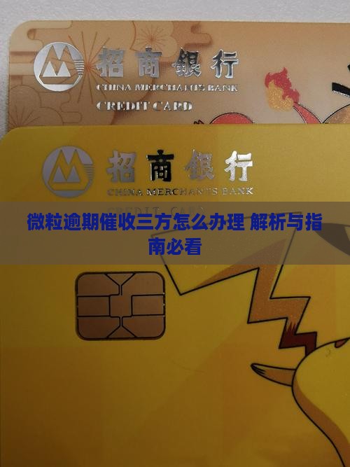 微粒贷逾期第三方催收怎么办理