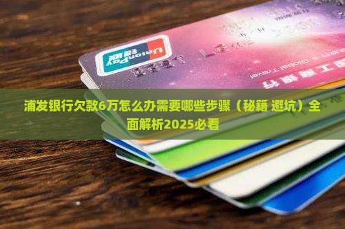 浦发银行欠款6万怎么办需要哪些步骤