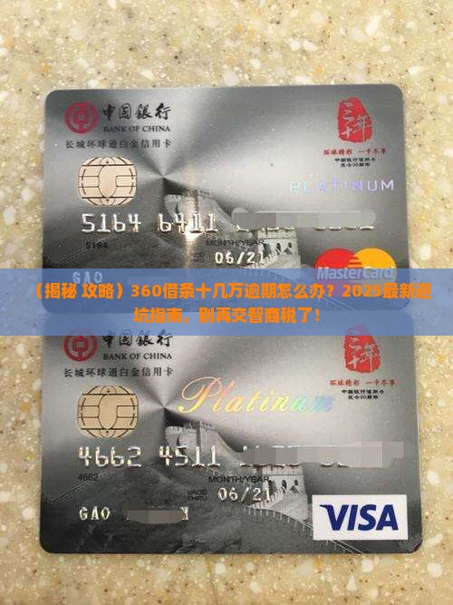 360借条十几万逾期