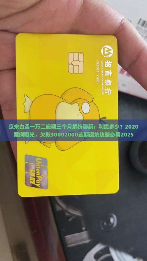 京东白条一万二逾期三个月