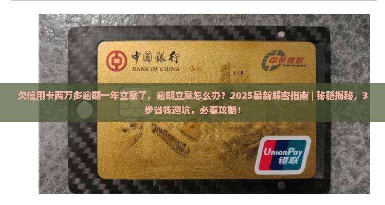 欠信用卡两万多逾期一年立案了