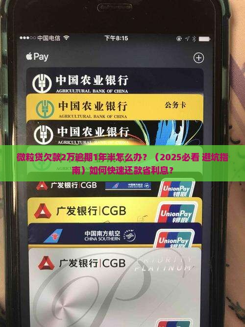 微粒贷欠款2万逾期1年半怎么办