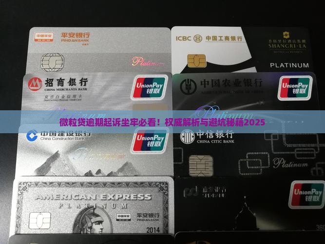 微粒贷欠款起诉会判刑吗
