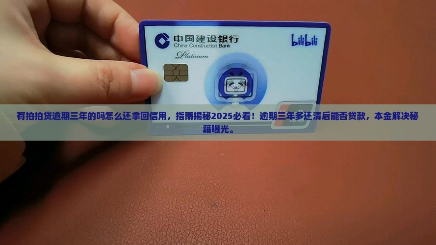 有拍拍贷逾期三年的吗怎么还拿回信用