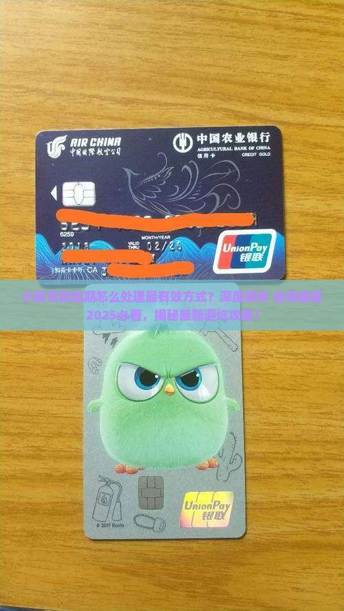 小额贷款逾期怎么处理最有效方式