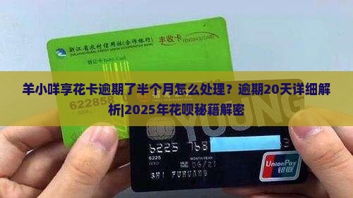 羊小咩享花卡逾期了半个月怎么处理 羊小咩享花卡逾期了半个月怎么处理