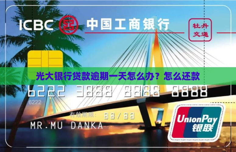 光大随心贷晚还一天怎么办理