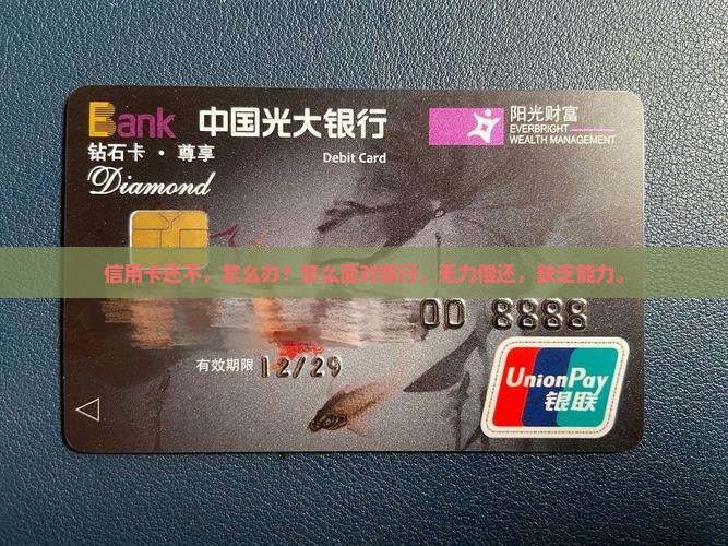 欠银行信用卡无能力偿还
