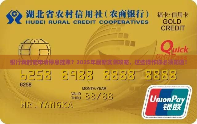 银行可以申请停息挂账的具体流程是什么