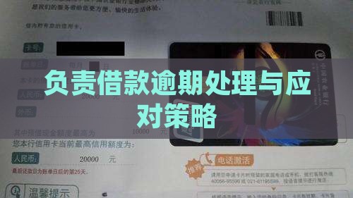 负责借款逾期处置方法及应对策略