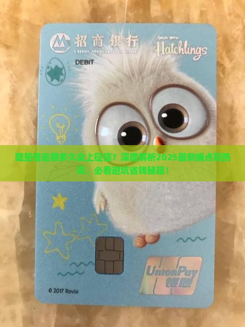 随星借逾期多久会上征信