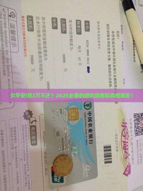欠平安i贷20000不还应该怎么处理