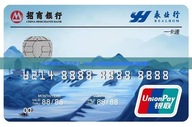 欠平安i贷20000不还应该怎么处理
