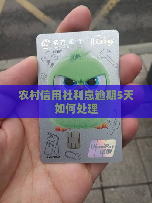 农村信用社利息逾期5天如何处理