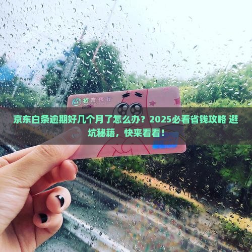 京东白条逾期了几月怎么办怎么办