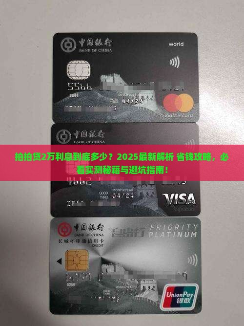 拍拍贷2万利息多少