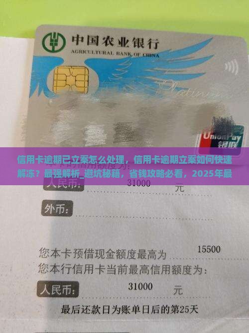信用卡逾期已立案怎么处理