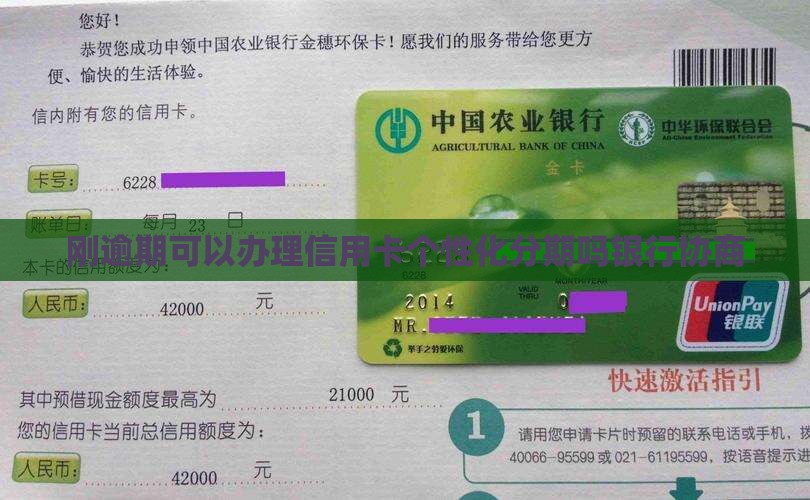 刚逾期可以办理个性化分期吗银行