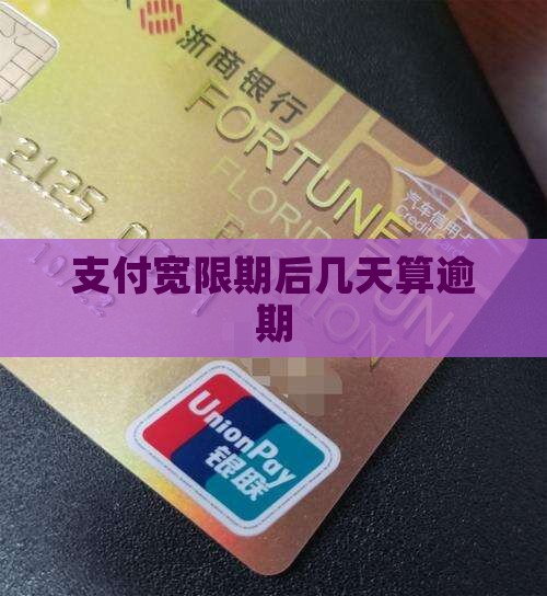 翼支付贷款几天算逾期