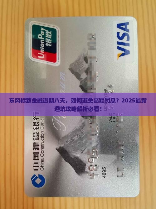 东风标致金融逾期八天