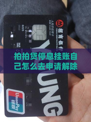 拍拍贷停息挂账自己怎么去申请解除挂账