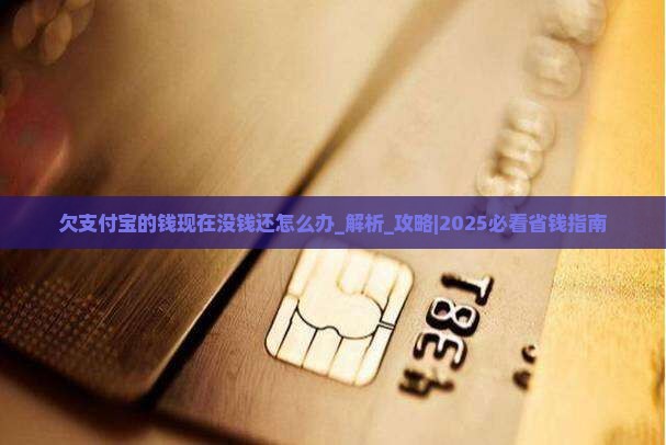 欠支付宝的钱现在没钱还怎么办
