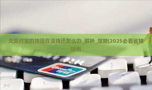 欠支付宝的钱现在没钱还怎么办
