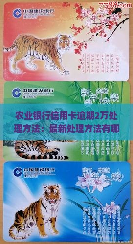 农业银行信用卡逾期2万处理方法
