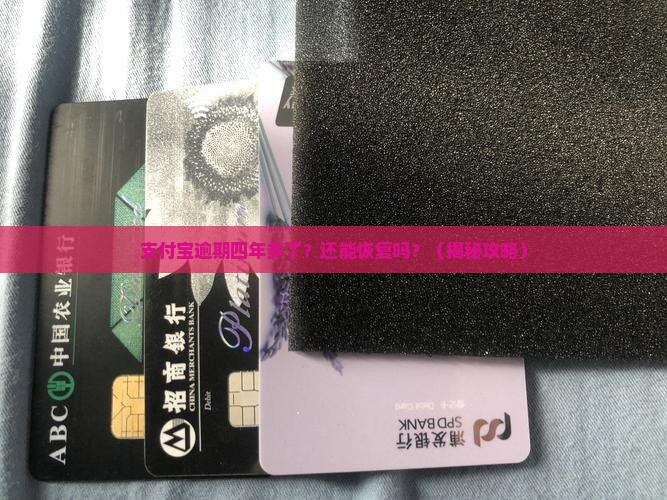 支付宝逾期四年多了咋办还能恢复吗