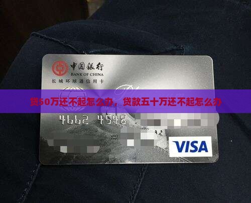 贷50万还不起怎么办