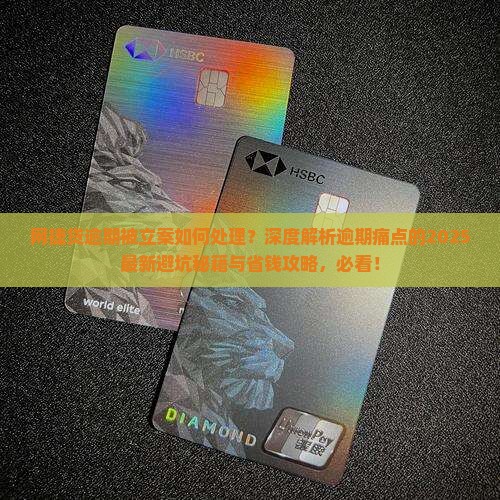 网捷贷逾期被立案如何处理