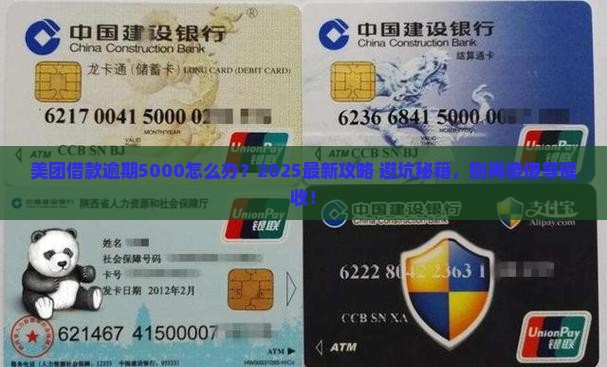 美团借款逾期5000需要如何处理