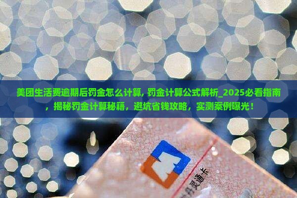 美团生活费逾期后罚金怎么计算