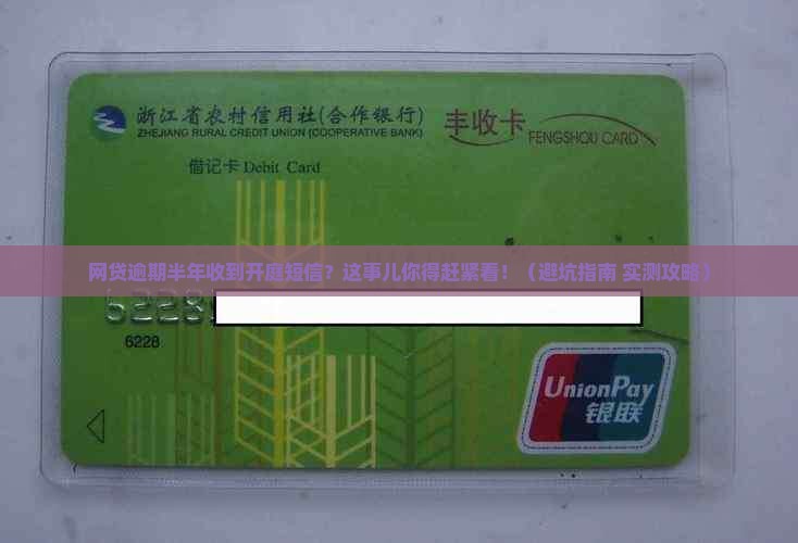 网贷逾期半年收到开庭短信怎么办