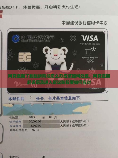 网贷逾期了到起诉阶段怎么办应该如何处理