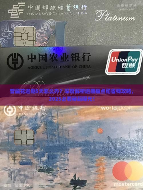 普融花逾期5天应该如何处理