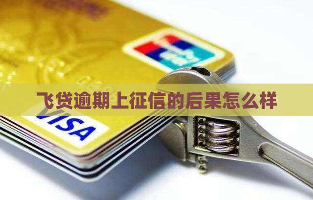 飞贷逾期上征信有哪些后果