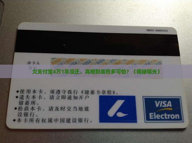 欠支付宝4万1年没还