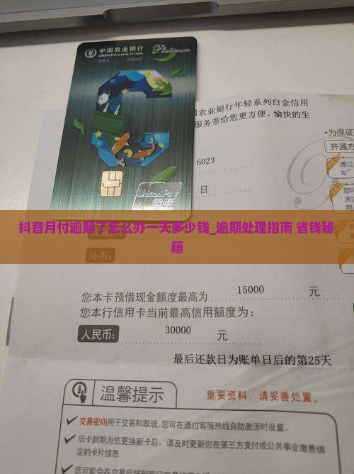抖音月付逾期了怎么办一天多少钱